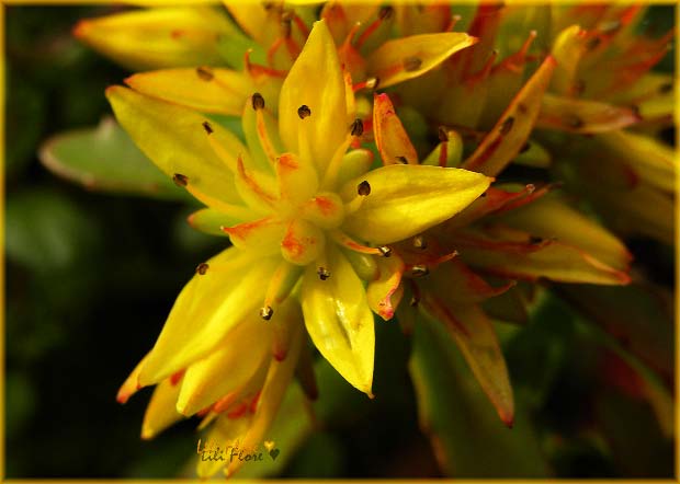 Image hébergée par Casimages.com : votre hébergeur d images simple et gratuit