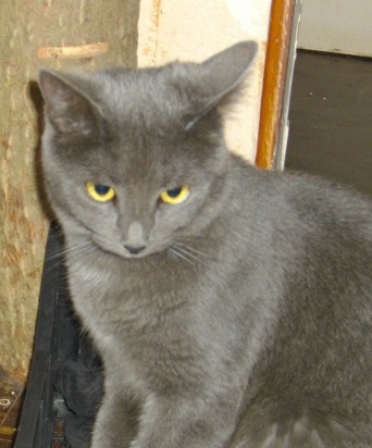 imgp0035