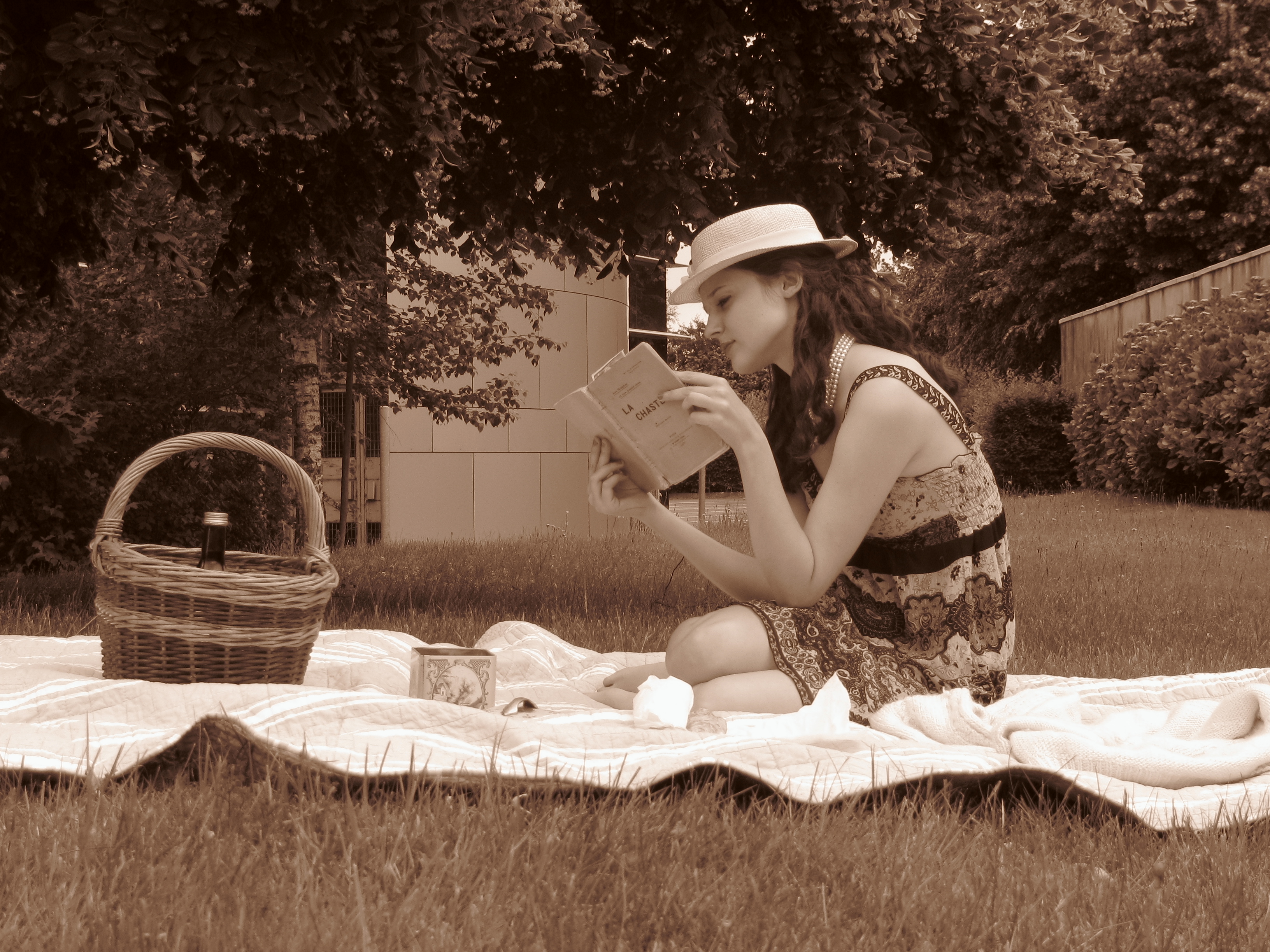 Lecture en &eacute;t&eacute;