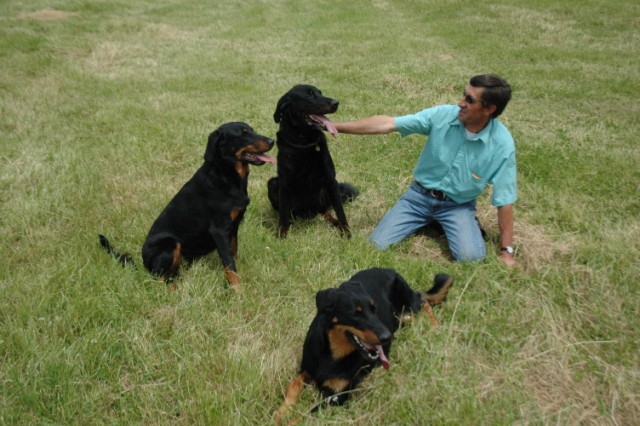 Pégase, beauceron de 8 ans - Page 2 090611074220646623843936