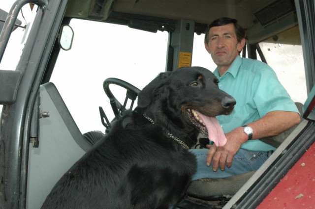 Pégase, beauceron de 8 ans - Page 2 090611075914646623844027