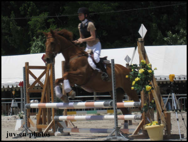 IMG_2291
