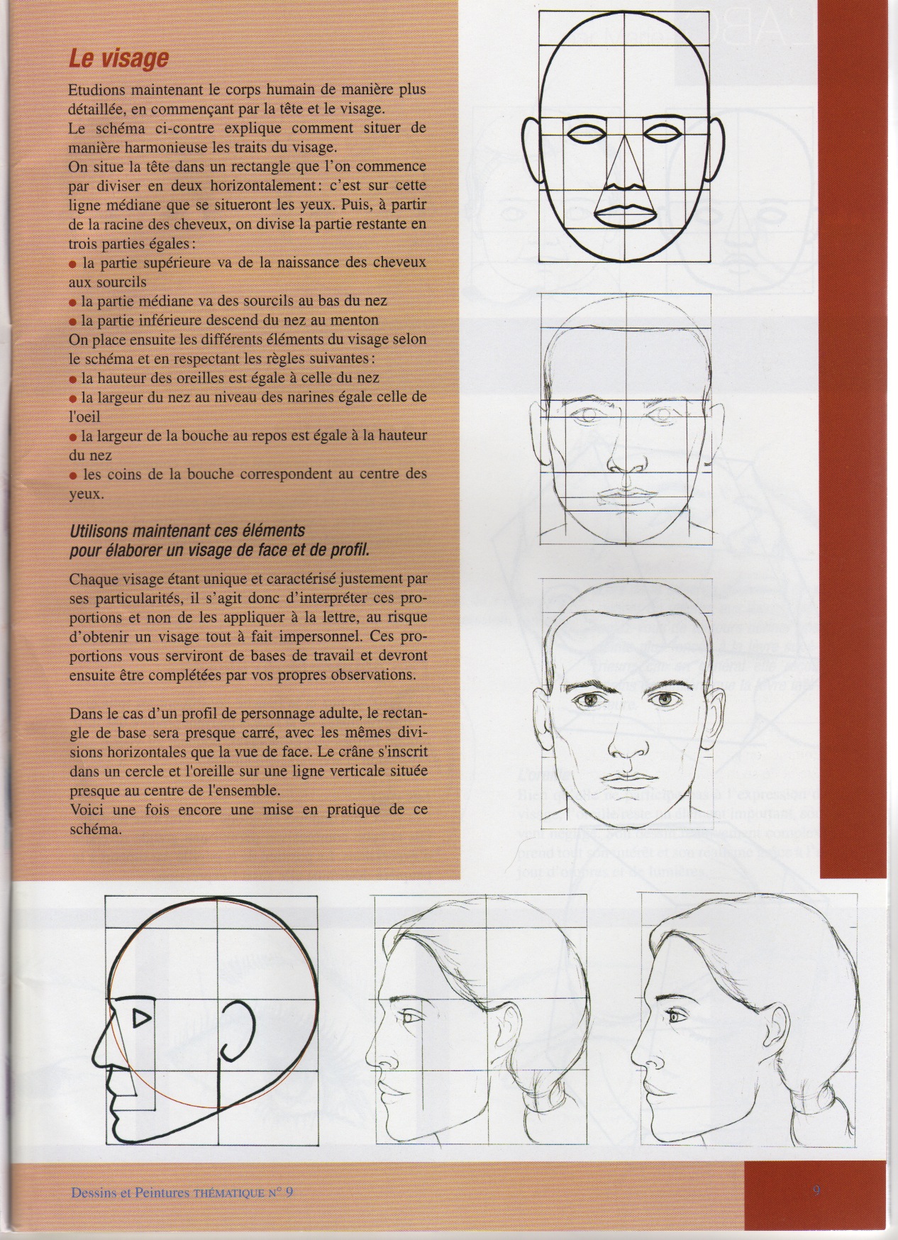 Proportions du visage en dessin.