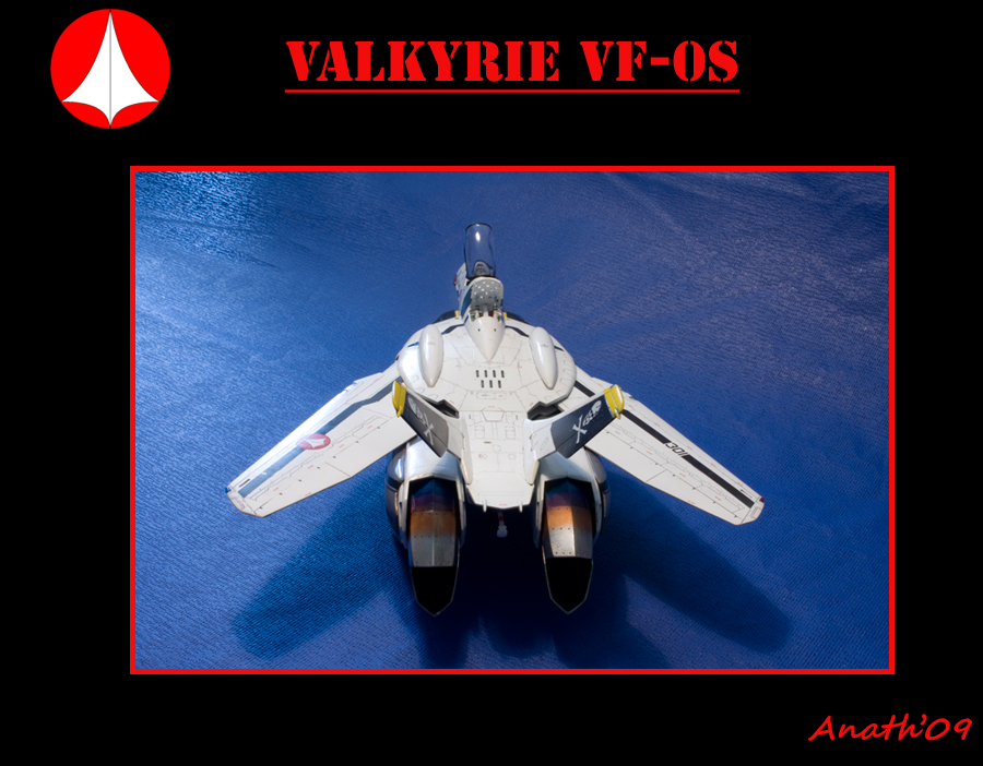 1/72 Macross Zero  Valkyrie VF-0S 090623112401547473943867
