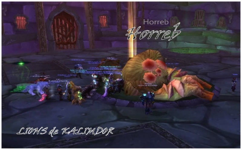 Horreb Naxxramas...Clean 10....R25 : 2 Ailes, 6 Boss