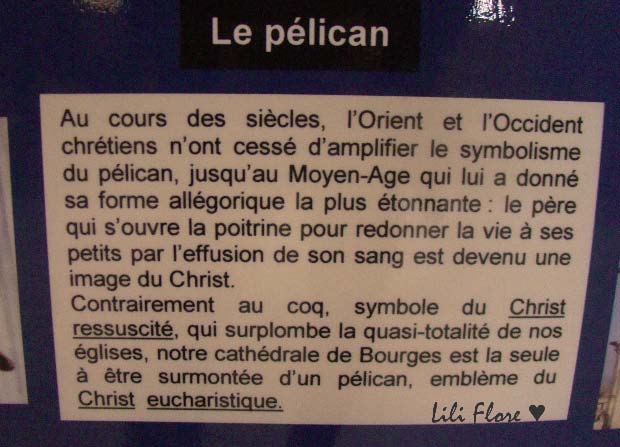 Image hébergée par Casimages.com : votre hébergeur d images simple et gratuit